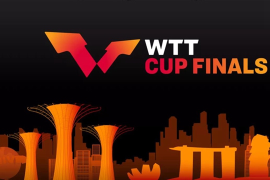 WTT2024年度总奖金排行榜