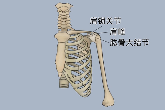 NBA灰熊莫兰特最新伤情报告：右肩AC关节一级扭伤需每周观察