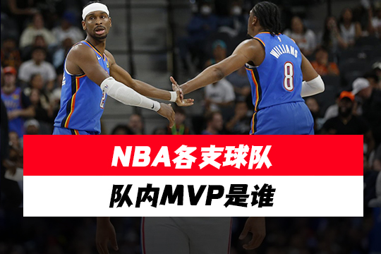 NBA各支球队的队内MVP是谁？